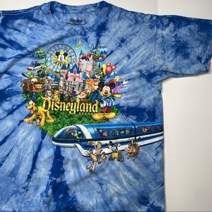 Disney distressed Vintage disneyland resort tee